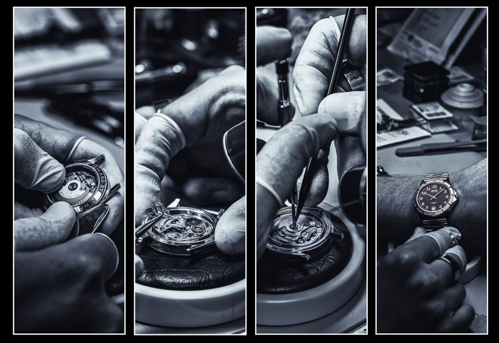 Monatsbilder September 2024